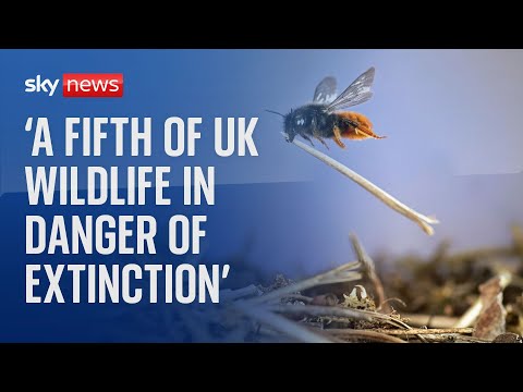UK Biodiversity Legislation: A Comprehensive Overview