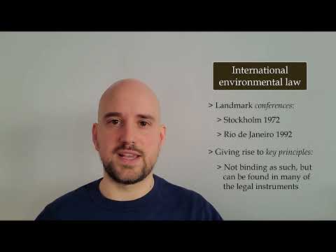 Understanding the Principles of International Environmental Law