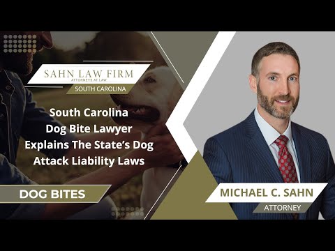 State Laws on Dog Bite Liability
