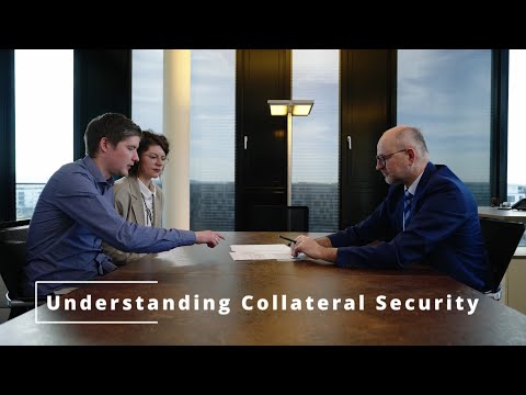 Understanding the Collateral Challenge in Administrative Law: A Comprehensive Overview