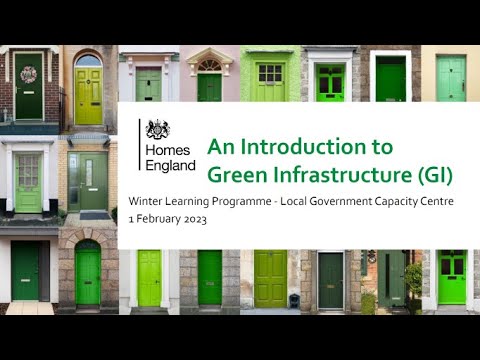 The Green Infrastructure Policy in the UK: A Comprehensive Overview