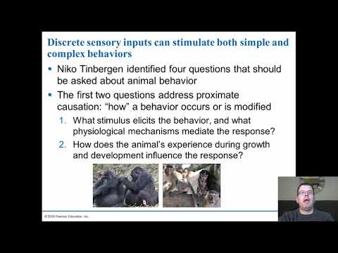 Understanding Section 39 of the Animals Act: Key Information and Implications