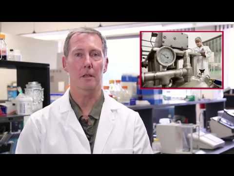 Understanding the impact of temperature on bacteria growth in food items