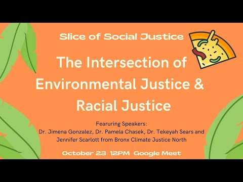 The Intersection of Social Justice and Environmental Justice: A Comprehensive Overview
