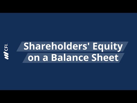 Understanding Total Shareholders' Equity: Definition and Importance in Finance