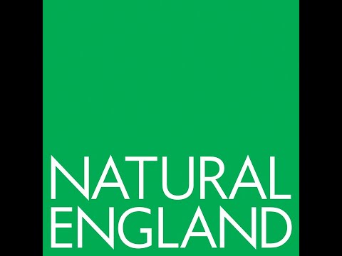 Understanding the Green Infrastructure Policy in the UK