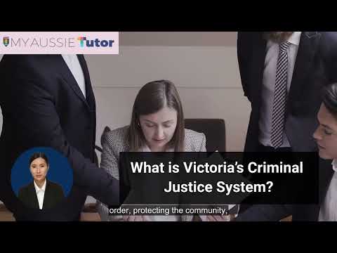 The Inner Workings of the Criminal Justice System