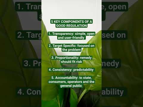 Understanding Regulation 33 of the 2017 Regulations: An Overview for Compliance