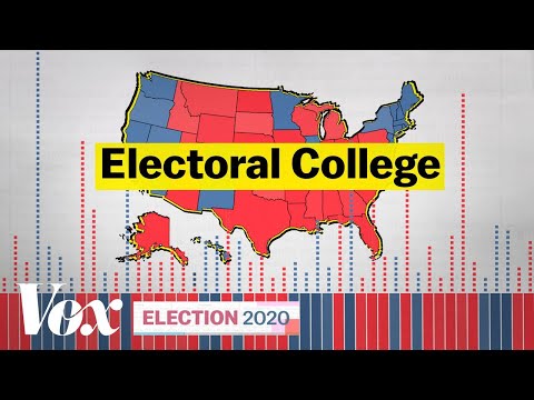 Understanding the Election Process for Local Government Members