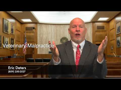 Expert Veterinary Malpractice Representation