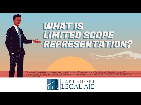 Optimize Your Business with Limited Scope Services
