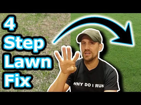 Optimizing Your Lawn: The Essential First Steps