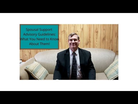 Understanding Common Law Spousal Support: Key Factors and Guidelines