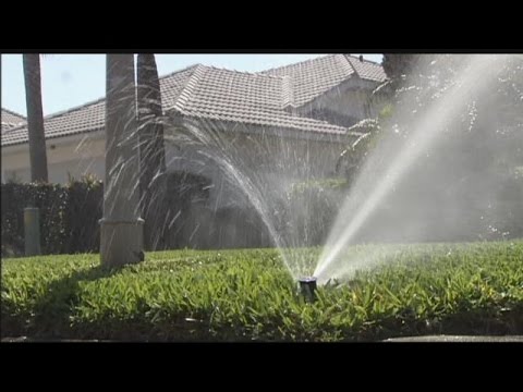 Unveiling the Household with the Highest Water Bill