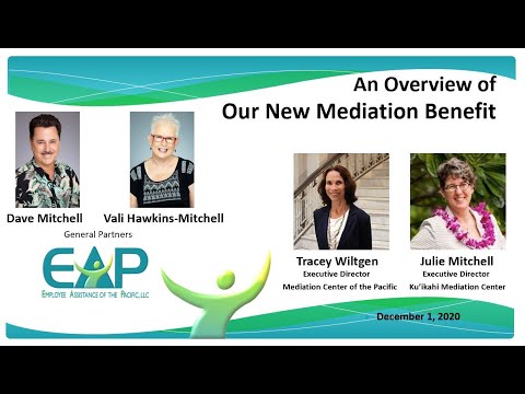 The Benefits of Co Mediation: A Comprehensive Overview