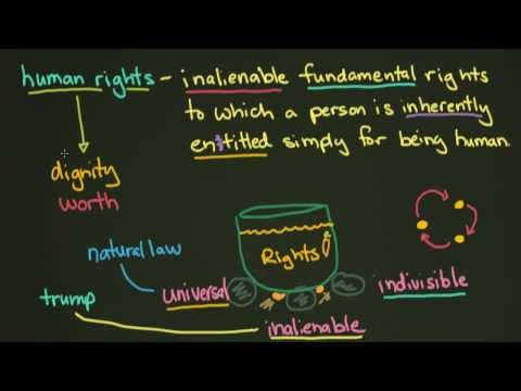 Understanding Human Rights Law: Key Principles and Regulations