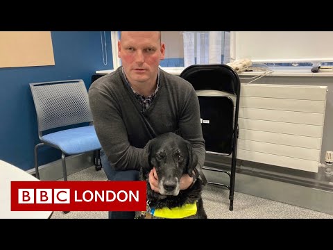 Understanding the Legal Implications of Failing to Walk Your Dog in the UK