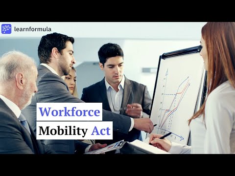 Understanding the Law of Mobility: Definition and Implications