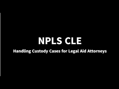 Securing Legal Aid for Custody Matters
