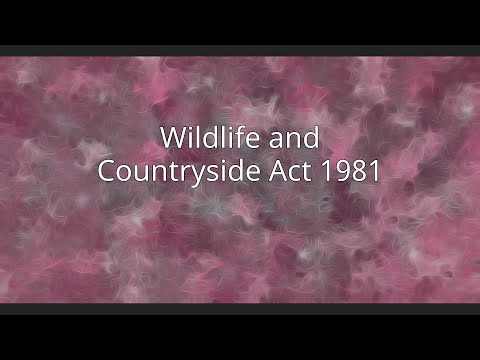 Understanding Schedule 9 of the Wildlife and Countryside Act in England