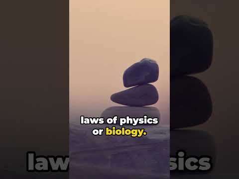 Exploring the Role of Natural Law Theory in Healthcare