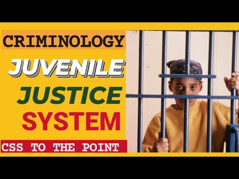Understanding Juvenile Justice Online: Everything You Need to Know