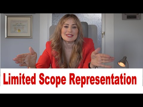 Optimize Your Divorce Process with Limited Scope Representation