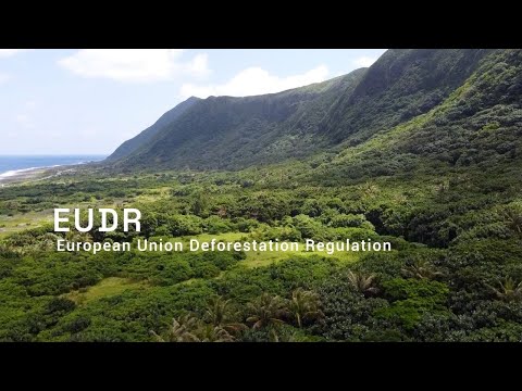 Understanding the European Union Regulation of Water: Key Information and Guidelines