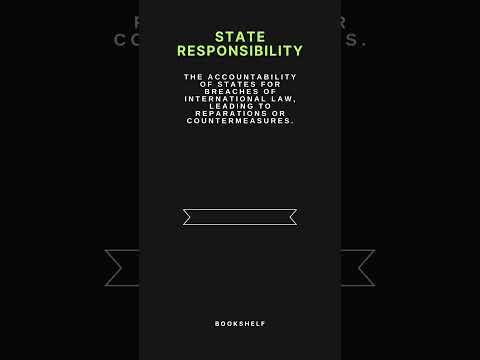 Understanding the Law of International Responsibility: A Comprehensive Overview