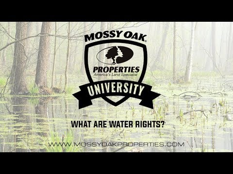 Understanding Water Rights Ownership in the UK