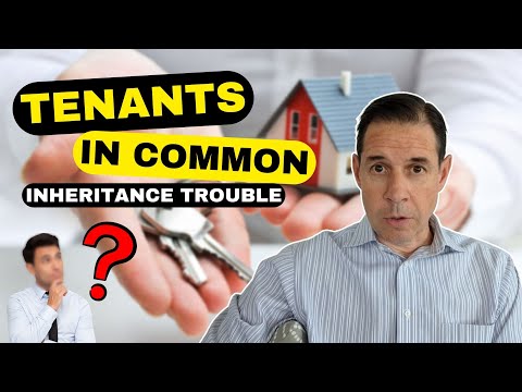 Understanding Laws Regarding Joint Ownership of Property: A Comprehensive Overview