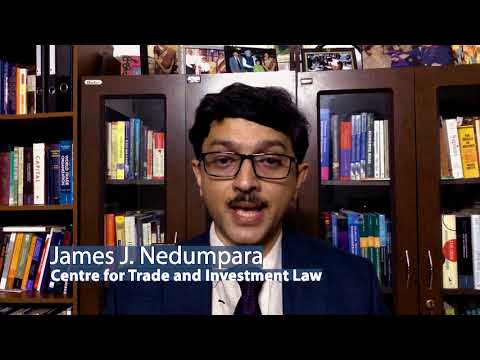 Understanding the Principles of International Economic Law: A Comprehensive Overview