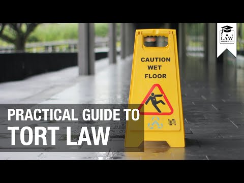 Exploring the Basics of Mini Tort Law