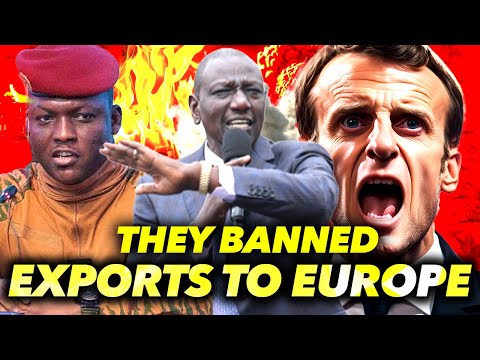 Country That Prohibited Billboards: Which Nation Implemented This Ban?