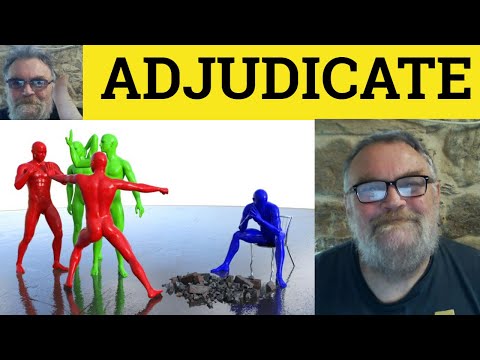 Understanding the Definition of Adjudicated in Court