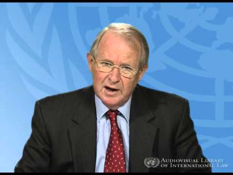 Understanding Diplomatic Protection in International Law: A Comprehensive Overview