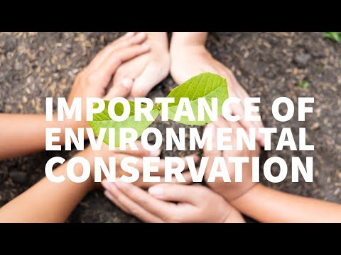 Essential Practices for Environment Conservation