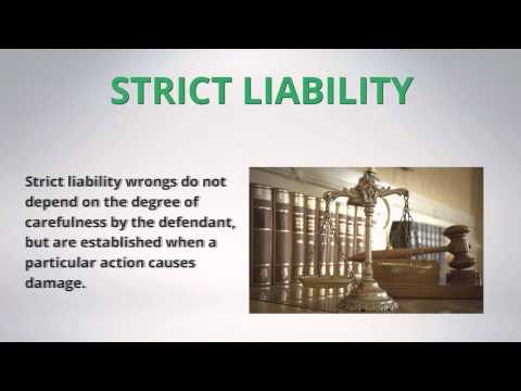 Understanding Damages in Tort Law: A Comprehensive Overview