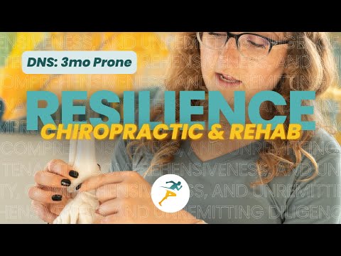 Optimal Healing at Prestonwood Rehab