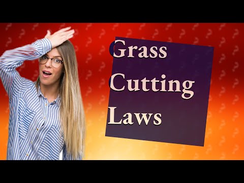 Understanding the legality of cutting grass on Sundays in Germany