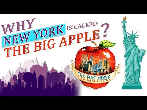 Are Leggings Banned in NYC? Know the Legalities of Leggings in The Big Apple