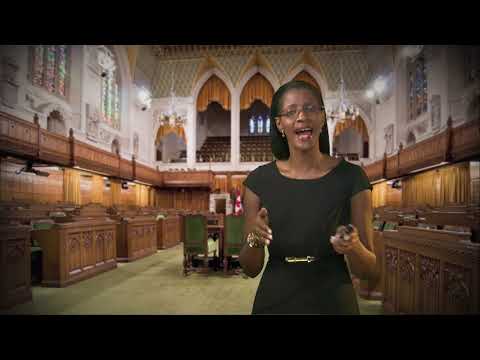 Understanding the Process of Judicial Review in Polson