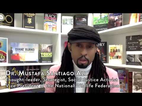 Examples of Environmental Justice Movements: A Closer Look