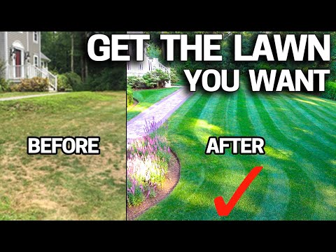 Essential Steps for Preparing Your Lawn Effectively