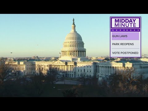Understanding the Implications of Today's Gun Executive Order