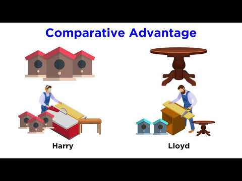 Understanding Comparative International Law: Key Concepts and Principles