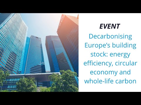 Understanding the Decarbonization Policy in Europe: A Comprehensive Overview