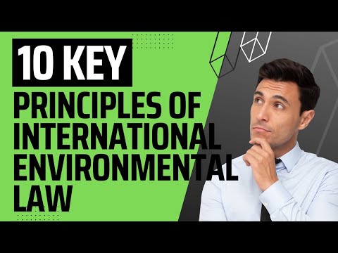 Understanding International Environmental Law: Key Principles and Regulations