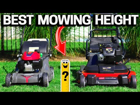 Optimal Lawn Mowing Times in Germany: A Comprehensive Overview