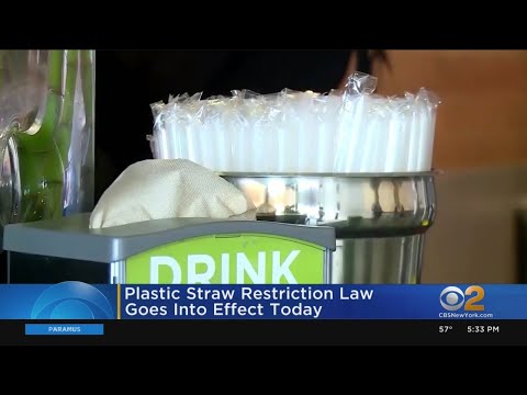 Understanding the Regulations on Plastic Straw Usage